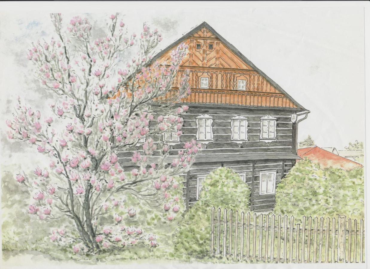 Rodinny Penzion Drevenka-Kulturni Pamatka Bozkovska Exterior photo